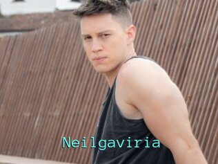 Neilgaviria