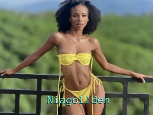 Niagollden