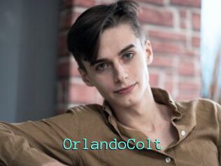 OrlandoColt Mobile Sex