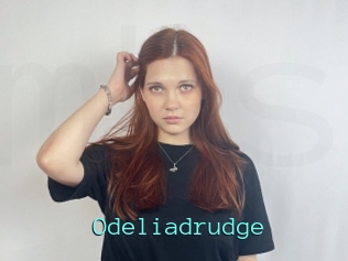 Odeliadrudge