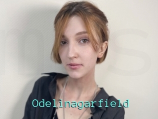 Odelinagarfield