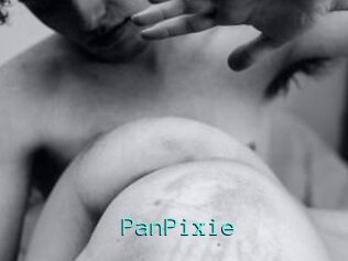 PanPixie
