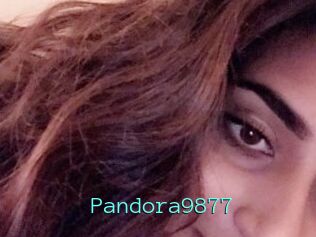 Pandora9877