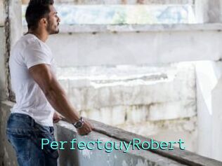 PerfectguyRobert
