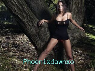 Phoenixdawnxo