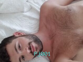 Pj001