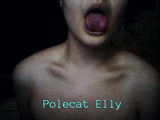 Polecat_Elly