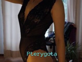 Pterygota Mobile Sex