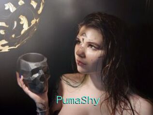 PumaShy