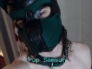 Pup_Samson