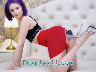 Purplefllower