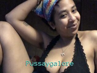 Pussaygalore