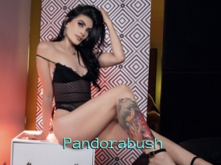 Pandorabush