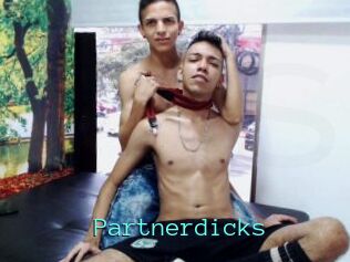 Partnerdicks