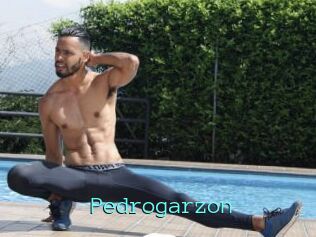 Pedrogarzon