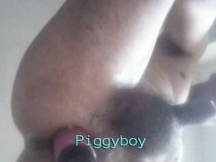 Piggyboy