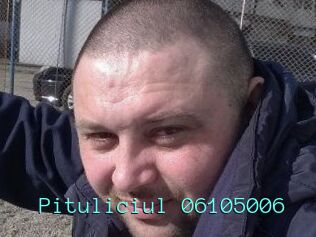 Pituliciul-06105006
