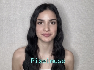 Pixelmuse