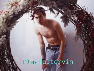 Playfultorvin