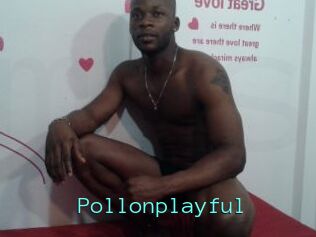Pollonplayful