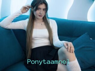 Ponytaamnel