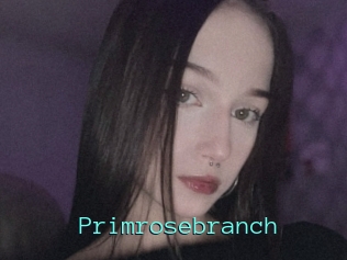 Primrosebranch
