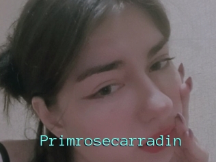 Primrosecarradin