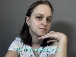 Primrosecarvin