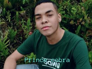 Prince_cobra