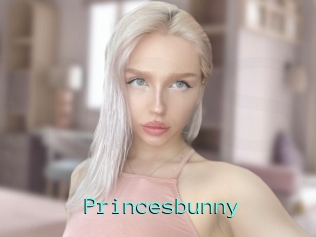 Princesbunny