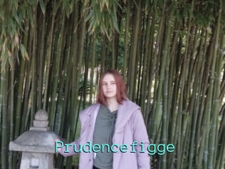 Prudencefigge