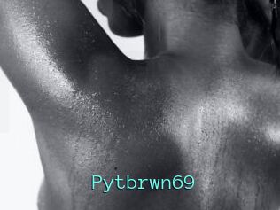 Pytbrwn69