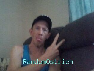 RandomOstrich