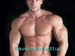 RavenMuscleStud