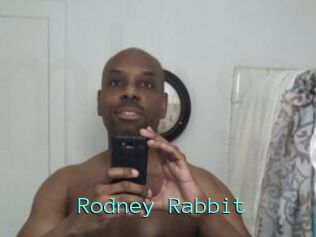 Rodney_Rabbit