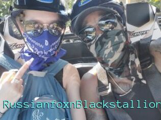 RussianfoxnBlackstallion