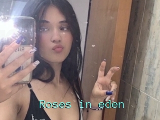 Roses_in_eden
