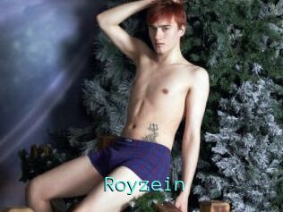 Royzein