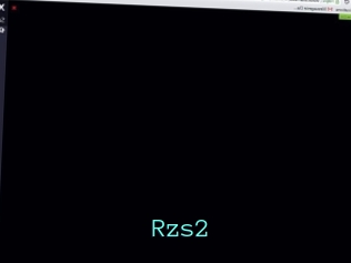 Rzs2