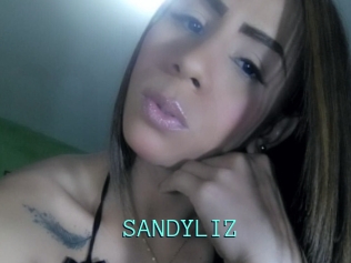 SANDYLIZ Mobile Sex