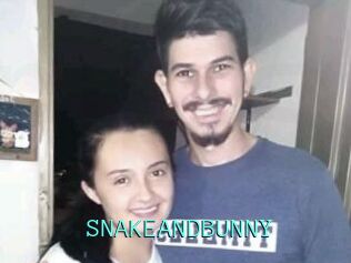 SNAKEANDBUNNY