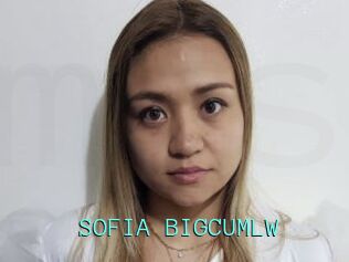 SOFIA_BIGCUMLW