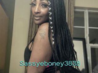 Sassyeboney3838