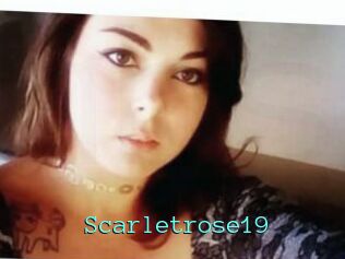 Scarletrose19