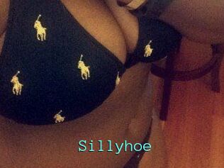 Sillyhoe