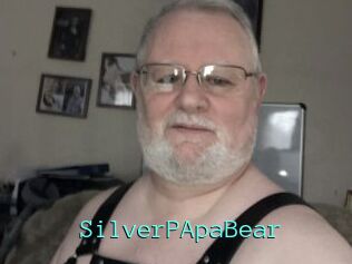 SilverPApaBear