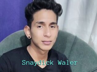 Snaydick_Waler