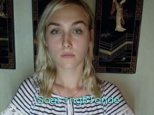 SoaringBlonde