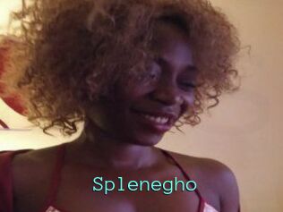 Splenegho