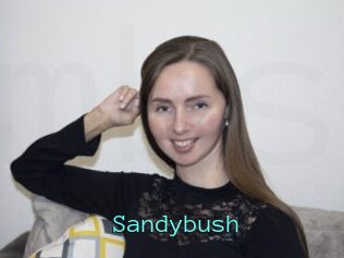 Sandybush
